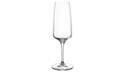 LEONARDO 6er-Gläserset Cesti | Sektglas, 240 ml