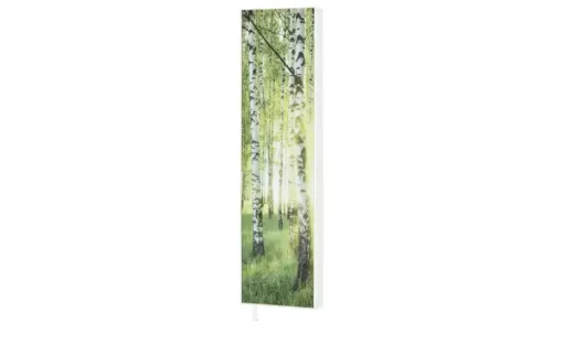 Mehrzweckschrank Pictura | Motiv Forest | Möbel Höffner