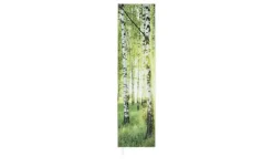 Mehrzweckschrank Pictura | Motiv Forest | Möbel Höffner