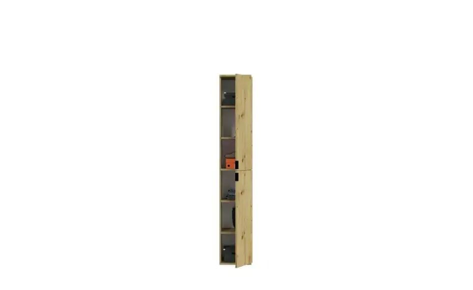 Mehrzweckschrank-Set Projekt X | Asteiche (Nachbildung)