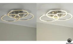 Meisterleuchten LED-Deckenleuchte, Alu-gebürstet, Kreise