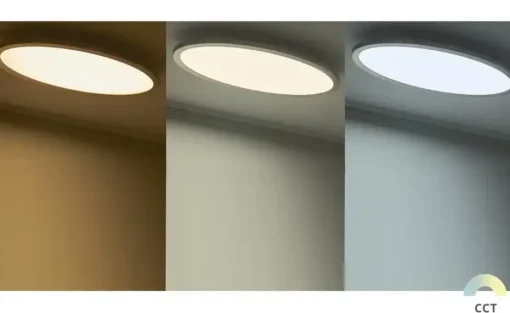 Meisterleuchten Smart Home-Deckenleuchte, oval