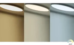 Meisterleuchten Smart Home-Deckenleuchte, oval
