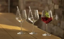 Nachtmann Gin & Tonic Gläser mit Glastrinkhalmen Tastes Good  | Gin & Tonic Gläser mit Glastrinkhalmen