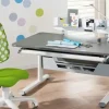 PAIDI Funktionsboard zum Schreibtisch Zubehör Schoolworld | Weiß