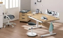 PAIDI Funktionsboard zum Schreibtisch Zubehör Schoolworld | Weiß