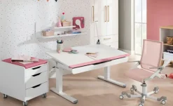 PAIDI Schreibtisch Teenio | 120 cm, Weiß | Höffner