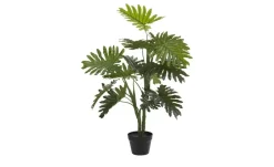 Palme getopft | Möbel Höffner