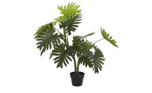 Palme getopft | Möbel Höffner