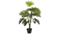 Palme getopft | Möbel Höffner