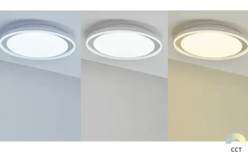 Paul Neuhaus LED-Bad-Deckenleuchte, weiß mit Fernbedienung
