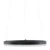 Paul Neuhaus LED-Pendelleuchte, 1-flammig, anthrazit