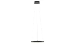 Paul Neuhaus LED-Pendelleuchte, 1-flammig, anthrazit