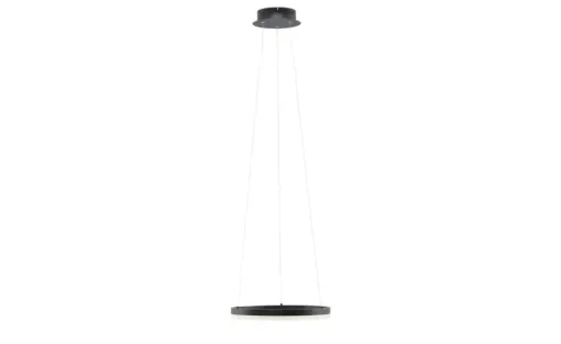 Paul Neuhaus LED-Pendelleuchte, 1-flammig, anthrazit