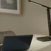 Paul Neuhaus LED-Schreibtischleuchte, braun | Braun, lackiert