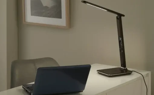Paul Neuhaus LED-Schreibtischleuchte, braun | Braun, lackiert