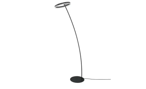 Paul Neuhaus LED-Stehleuchte, 1-flammig, anthrazit