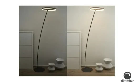 Paul Neuhaus LED-Stehleuchte, 1-flammig, anthrazit