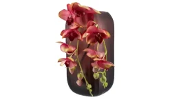 Peill+Putzler Vase | 29 cm | Möbel Höffner