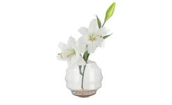 Peill+Putzler Vase | Braun | Möbel Höffner