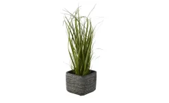 Pflanztopf | 12,5 cm | Möbel Höffner