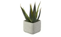 Pflanztopf | 12,5 cm | Möbel Höffner