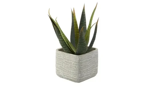 Pflanztopf | 12,5 cm | Möbel Höffner