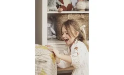 Regal Miloo | Champagner | Möbel Höffner