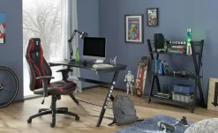 Regal Zocker 1 | Möbel Höffner