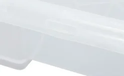 Rotho Aufbewahrungsbox EVO EASY | Unterbettbox 50 Liter