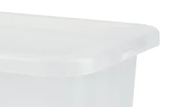Rotho Aufbewahrungsbox EVO EASY | Box 1,2 Liter