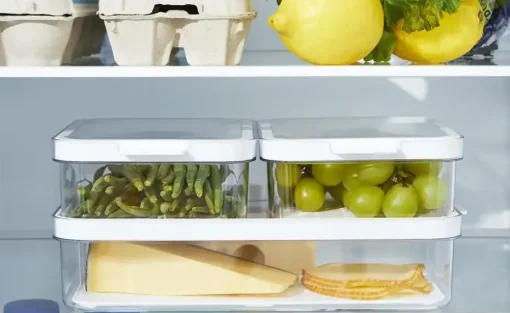 Rotho Kühlschrankorganizer-Set Cauma | 3 Stück