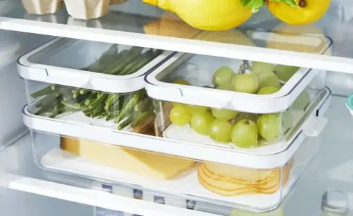 Rotho Kühlschrankorganizer-Set Cauma | 3 Stück
