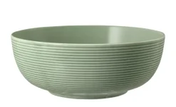 Seltmann Weiden Foodbowl Beat | Salbeigrün, 20 cm