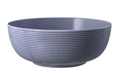 Seltmann Weiden Foodbowl Beat | Flieder, 20 cm