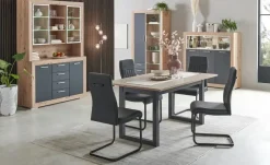 Sideboard Fiesta | Asteiche (Nachbildung), Grau