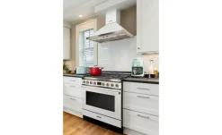 smeg Kaffeeautomat DCF02PGEU | silberfarben, Hellgrün