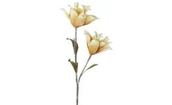 Soft Flower Kamelienzweig | Gelb, Weiß | Möbel Höffner