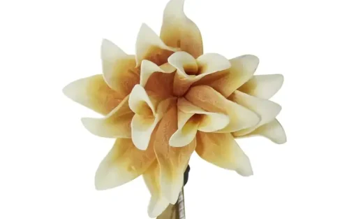 Soft Flower Kamelienzweig | Gelb, Weiß | Möbel Höffner
