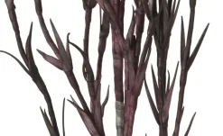 Soft Flower Korallenzweig | Dunkellila | Möbel Höffner