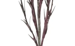 Soft Flower Korallenzweig | Dunkellila | Möbel Höffner