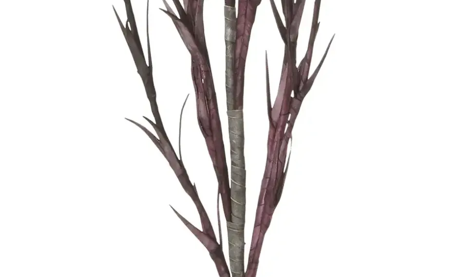 Soft Flower Korallenzweig | Dunkellila | Möbel Höffner