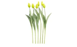 Tulpenbund, 7-fach | Gelb | Möbel Höffner