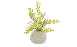 Vase Seeigel | 11 cm | Möbel Höffner