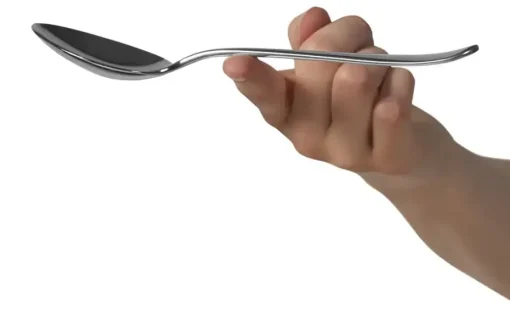 WMF Besteckset  Corvo | 66 Stück | Möbel Höffner