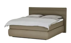 Wohnwert Boxspringbett  Dormian Bolge High | Taupe, 140 cm