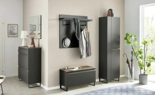 Wohnwert Schuhschrank Leo | Anthrazit, matt, Eiche (Nachbildung), Mit Einlegeböden
