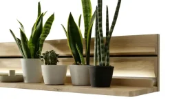 Woodford Wandboard Onna | Möbel Höffner